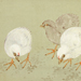 Shuhei Yamada Gallery
